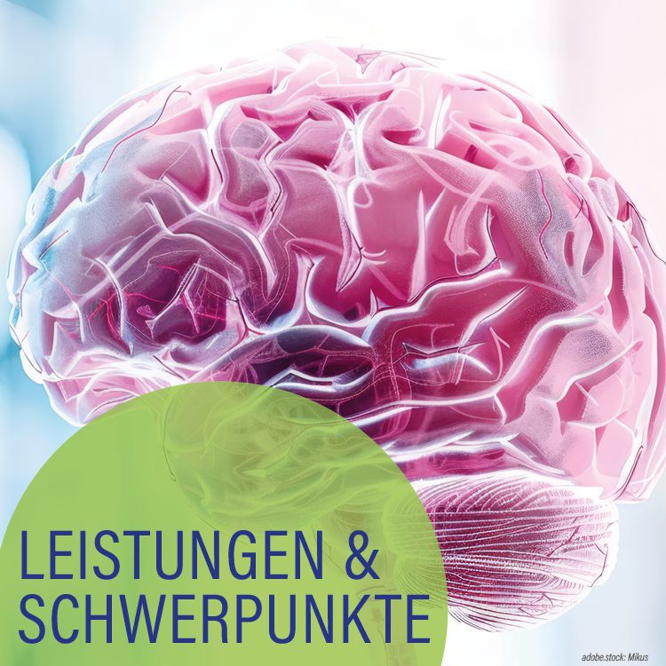 Stilidiertes, holographisches 3D-Modell des menschlichen Gehirns. Hellgrüner Kreis mit der Aufschrift Leistungen und Schwerpunkte.