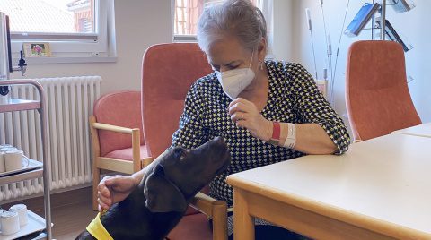 Eine ältere Dame gibt einem dunklen, der vor ihr sitzt ein Leckerlie.