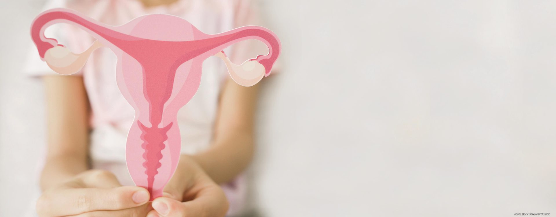 zwei Frauenhände halten ein stilisiertes 2D-Modell der weiblichen Gebärmutter