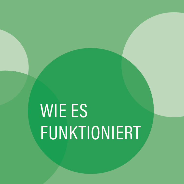 Mittelgrüne Kreise mit der Aufschrift wie es funktioniiert